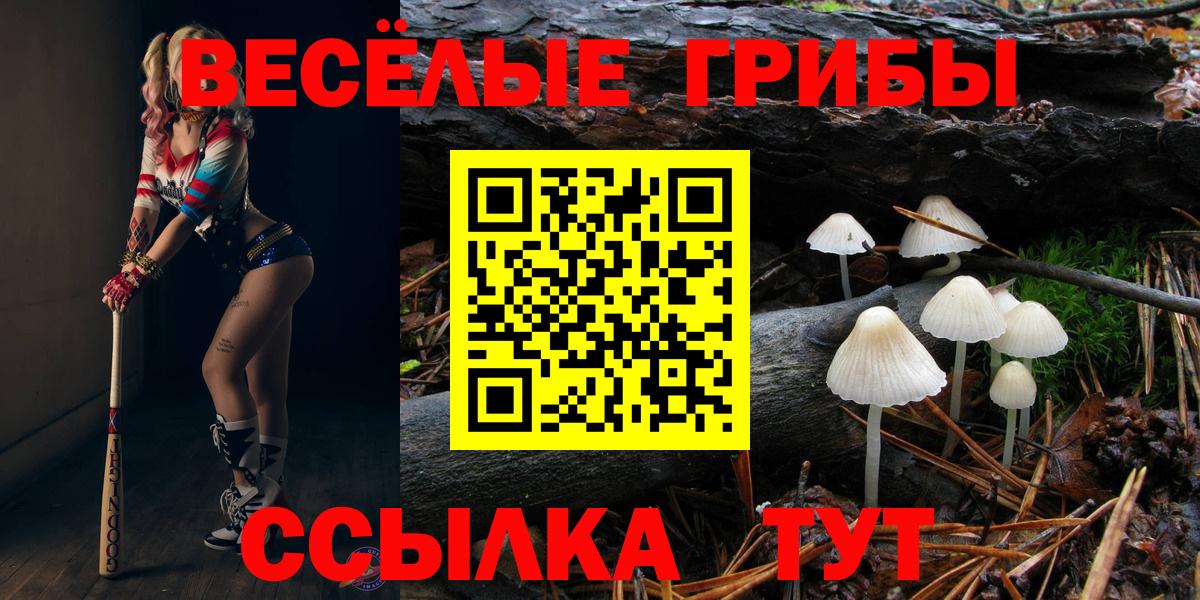 Псилоцибиновые грибы Cubensis Мелеуз